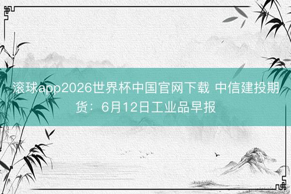 滚球app2026世界杯中国官网下载 中信建投期货:6月12日工业品早报