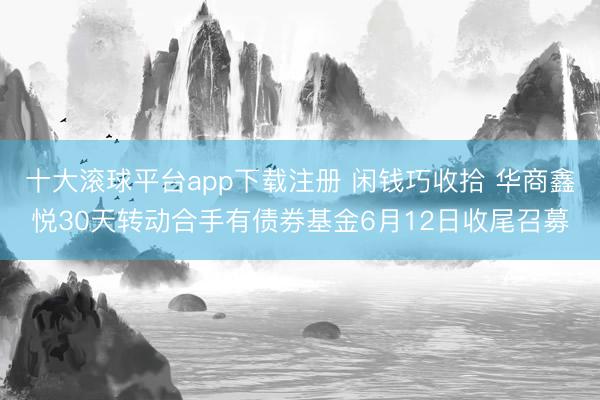 十大滚球平台app下载注册 闲钱巧收拾 华商鑫悦30天转动合手有债券基金6月12日收尾召募