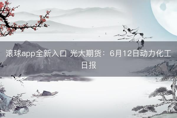 滚球app全新入口 光大期货:6月12日动力化工日报