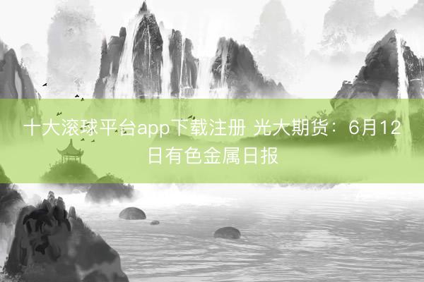 十大滚球平台app下载注册 光大期货：6月12日有色金属日报