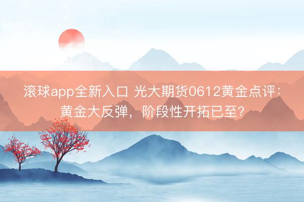 滚球app全新入口 光大期货0612黄金点评：黄金大反弹，阶段性开拓已至？