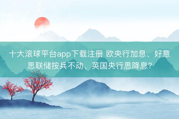 十大滚球平台app下载注册 欧央行加息、好意思联储按兵不动、英国央行思降息？
