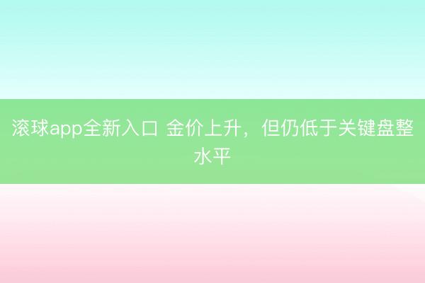 滚球app全新入口 金价上升，但仍低于关键盘整水平