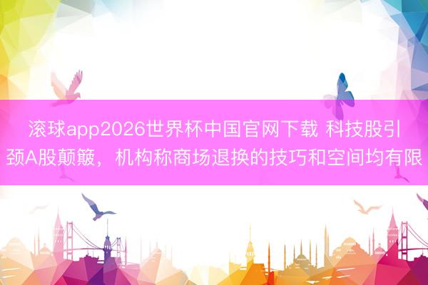 滚球app2026世界杯中国官网下载 科技股引颈A股颠簸，机构称商场退换的技巧和空间均有限