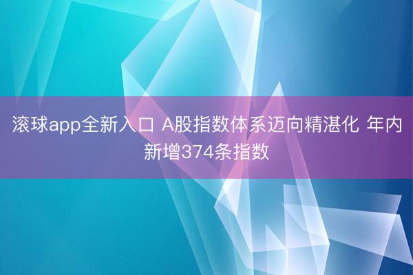 滚球app全新入口 A股指数体系迈向精湛化 年内新增374条指数