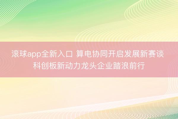 滚球app全新入口 算电协同开启发展新赛谈 科创板新动力龙头企业踏浪前行