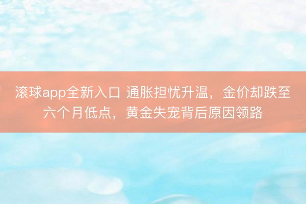 滚球app全新入口 通胀担忧升温，金价却跌至六个月低点，黄金失宠背后原因领路