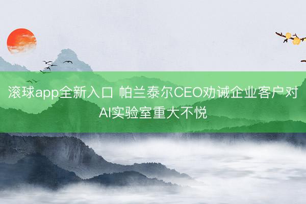 滚球app全新入口 帕兰泰尔CEO劝诫企业客户对AI实验室重大不悦