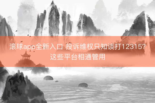 滚球app全新入口 投诉维权只知谈打12315?这些平台相通管用