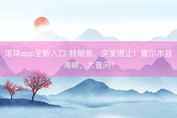 滚球app全新入口 特朗普，突发遏止！霍尔木兹海峡，大音问！