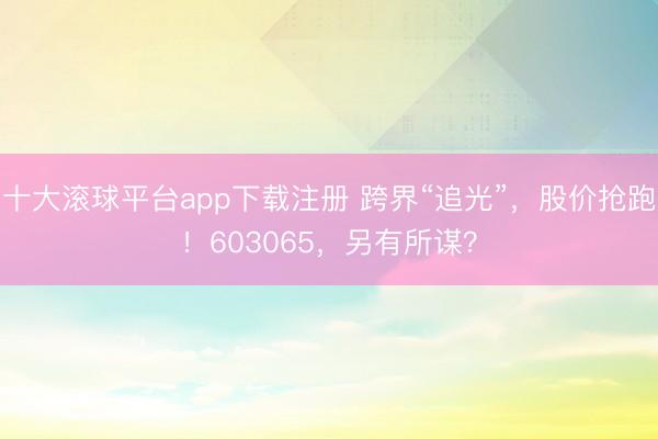 十大滚球平台app下载注册 跨界“追光”，股价抢跑！603065，另有所谋？