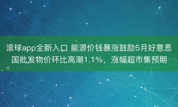 滚球app全新入口 能源价钱暴涨鼓励5月好意思国批发物价环比高潮1.1%，涨幅超市集预期