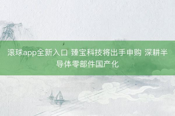 滚球app全新入口 臻宝科技将出手申购 深耕半导体零部件国产化