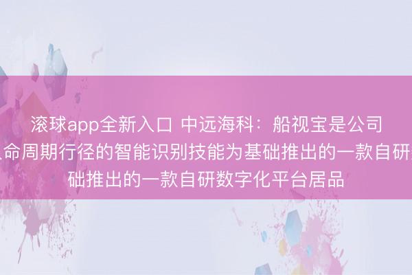 滚球app全新入口 中远海科：船视宝是公司以船舶飞翔全人命周期行径的智能识别技能为基础推出的一款自研数字化平台居品