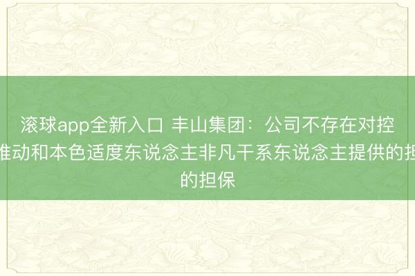 滚球app全新入口 丰山集团：公司不存在对控股推动和本色适度东说念主非凡干系东说念主提供的担保