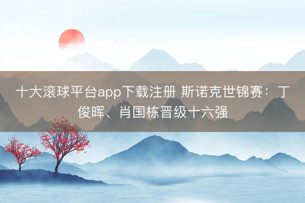 十大滚球平台app下载注册 斯诺克世锦赛:丁俊晖、肖国栋晋级十六强