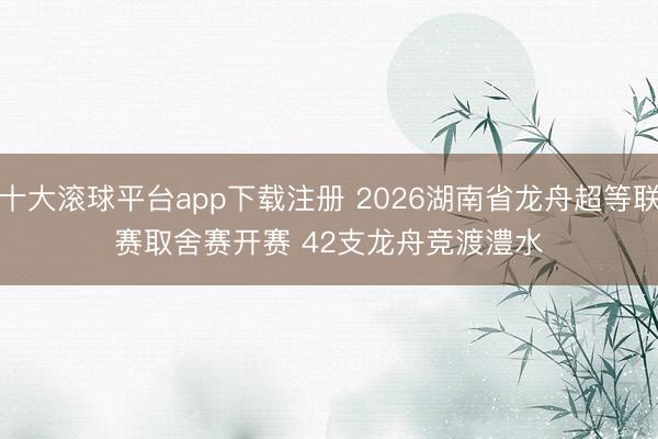 十大滚球平台app下载注册 2026湖南省龙舟超等联赛取舍赛开赛 42支龙舟竞渡澧水