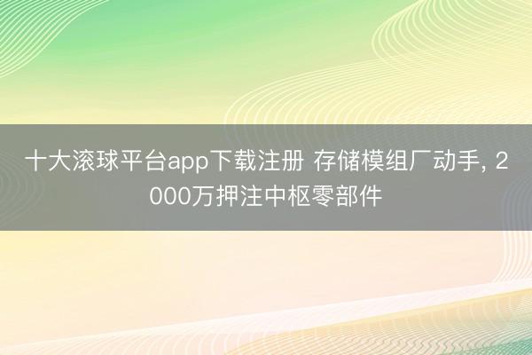 十大滚球平台app下载注册 存储模组厂动手, 2000万押注中枢零部件