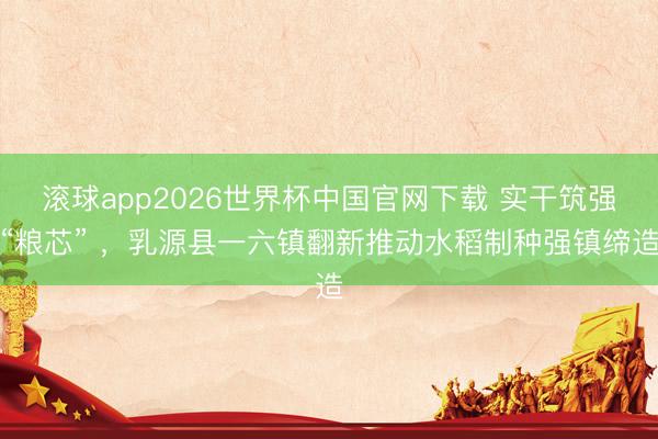 滚球app2026世界杯中国官网下载 实干筑强“粮芯” ,乳源县一六镇翻新推动水稻制种强镇缔造